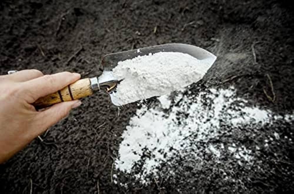 Chemical Inputs